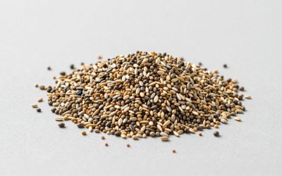 Complete Seed Build Materials: ZZZ Guide